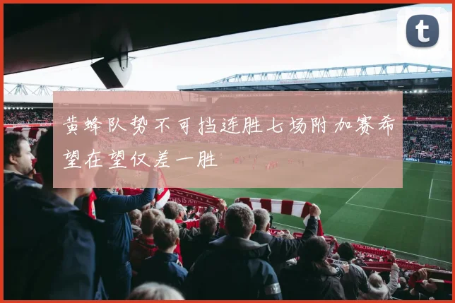 黄蜂队势不可挡连胜七场附加赛希望在望仅差一胜